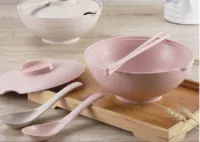 生物可降解材料PBAT/PLA
